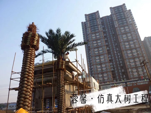国产麻豆自拍性爱视频大樹